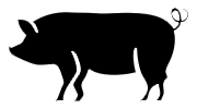 pictogram zwart varken