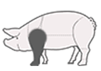 pictogram schouder van varken