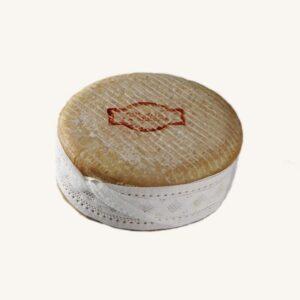 Queso de la Serena (DOP) traditionele schapenkaas, wiel