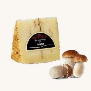 Gedroogde schapenkaas met eekhoorntjesbrood, wigvormig stuk